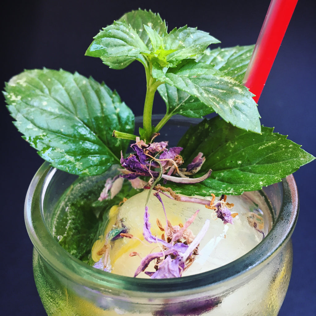 Granita all'Epilobio