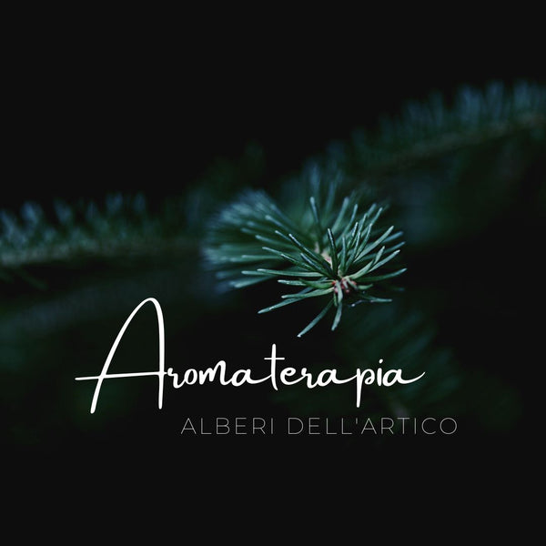 Pacchetto regalo di natale con infuso e aromaterapia
