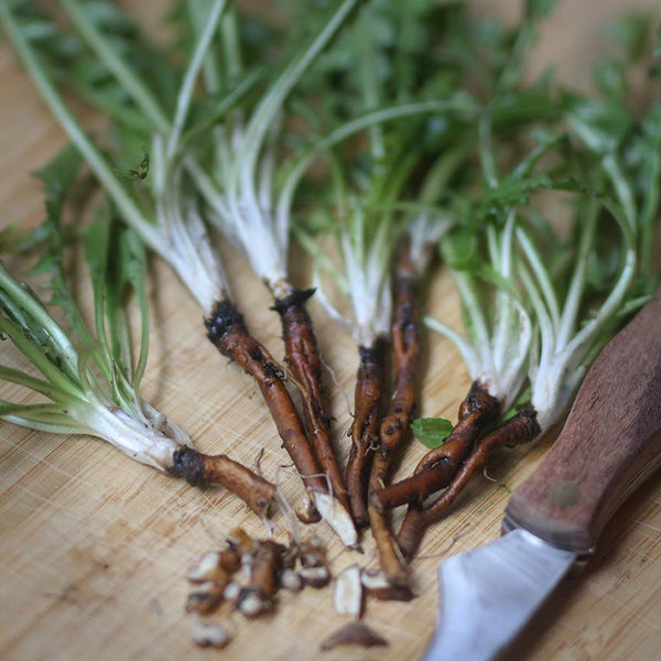 Polvere verde e infuso di ortica, foglie di tarassaco, menta, prezzemolo, achillea millefoglie, radice di tarassaco.