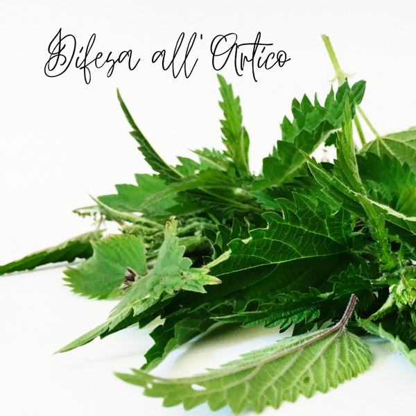 Difesa all'Artico