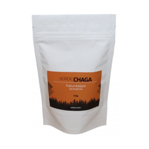 Fungo chaga dalla Lapponia finlandese