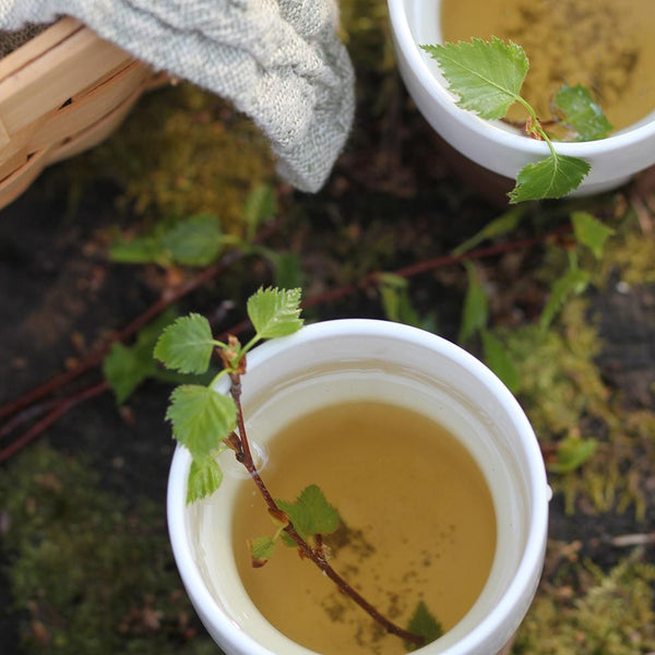 Infuso Foglie di Betulla 