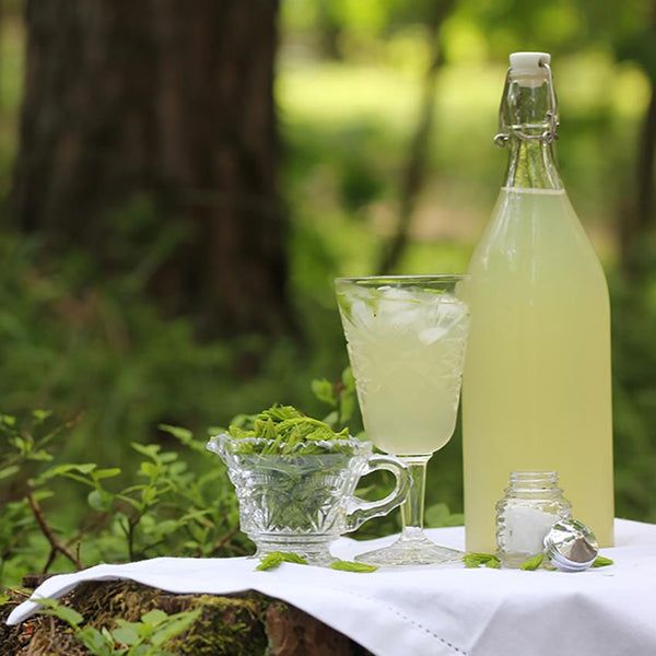 Bevanda con xilitolo e gemme di abete