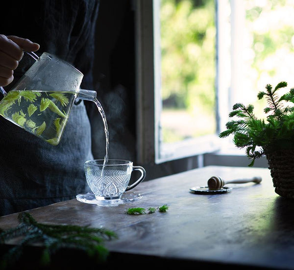 Polvere verde infuso con gemme di abete & zenzero