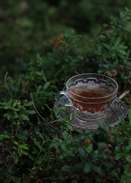 Infuso Rhodiola rosea