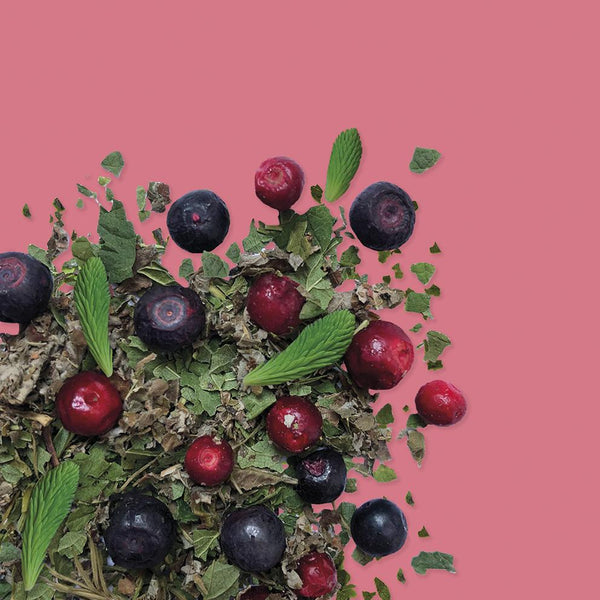 Infuso di foglie di ribes nero, foglie di lampone, mirtilli neri & rossi liofilizzati e gemme di abete.
