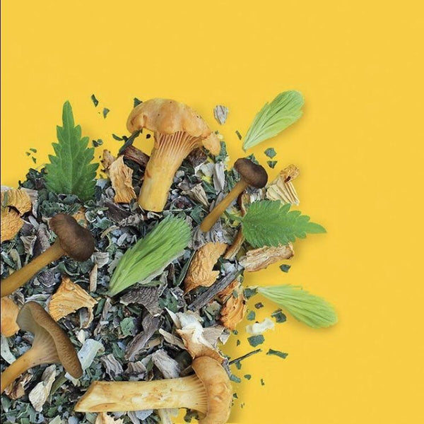 Mix di spezie ai funghi cantarelli e erbe aromatiche per risotto, pesto, pasta, torte, salse, pizza etc. Prodotto vegan!