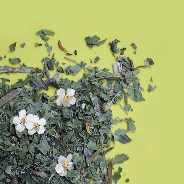 Polvere verde e infuso di ortica, foglie di tarassaco, menta, prezzemolo, achillea millefoglie, radice di tarassaco.